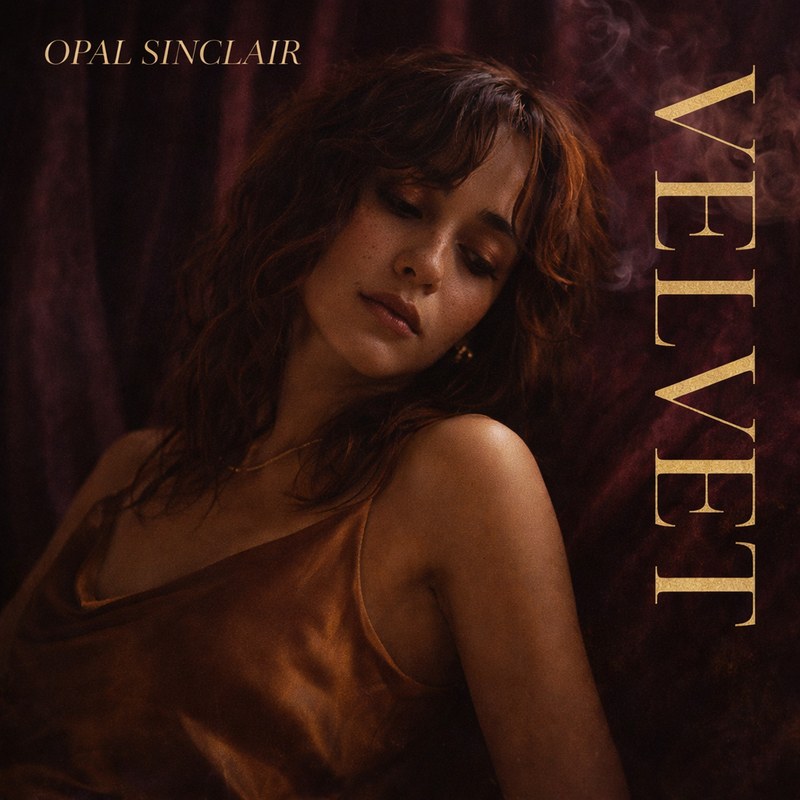Velvet cover